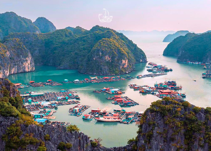 Làng Nổi Cái Bèo Cát Bà – Ngôi Làng Chài Cổ Nhất Việt Nam Giữa Vịnh Lan Hạ